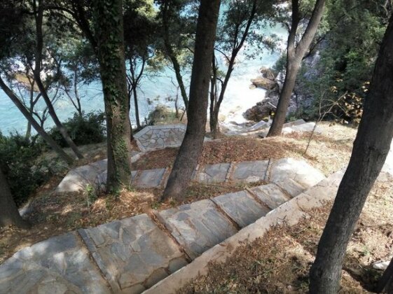 Lykourgos Pilio - Photo5