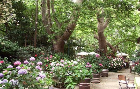 The Lotus Tree Archontiko - Photo3