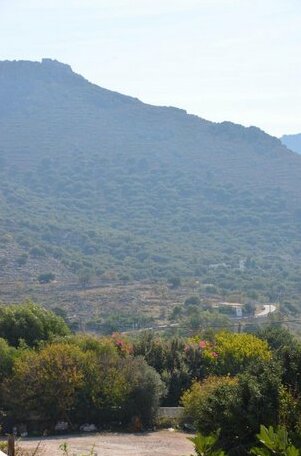 Olympus Apartments Tilos - Photo3
