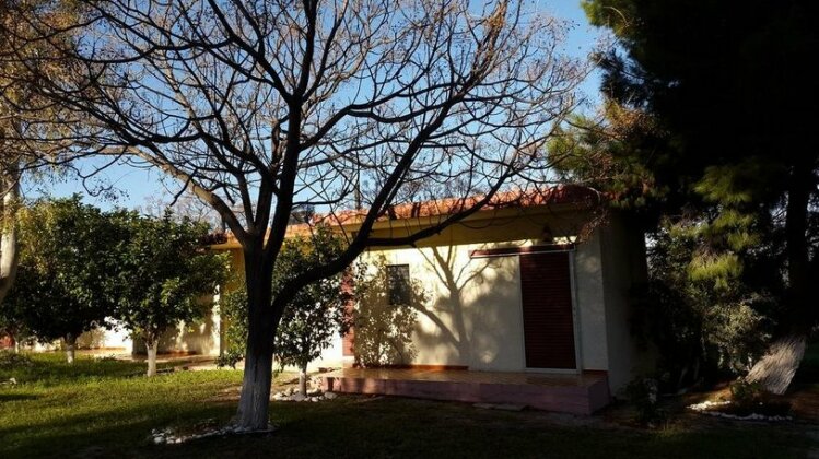 Danaides Bungalows - Photo5