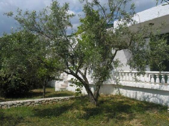 Phaistos Hotel - Photo3