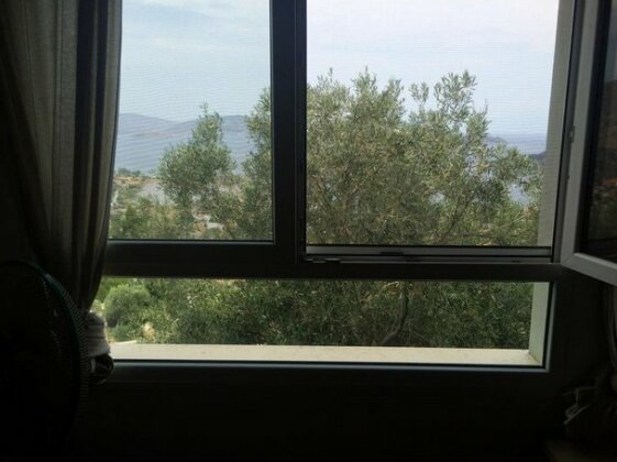 Melolia Farm - Photo5