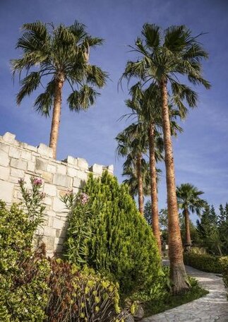 Athina Luxury Villas - Photo2