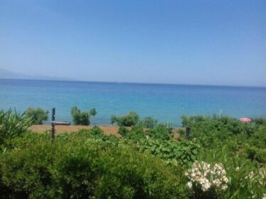Ammoudino Del Mare Seafront Apartment in Zakynthos