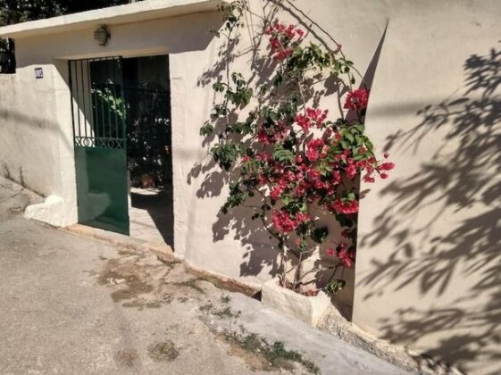 Ampelos House - Photo5