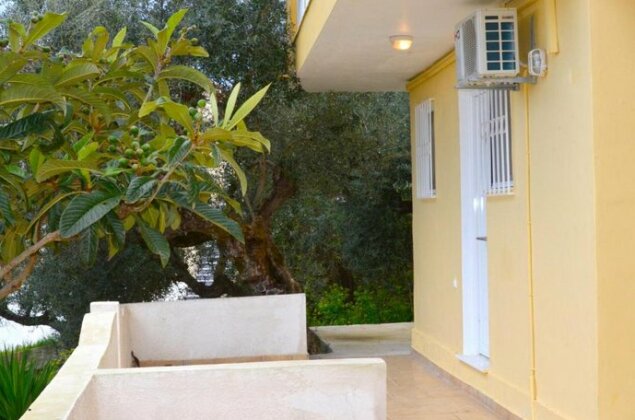 Eleni Studios Zakynthos - Photo4