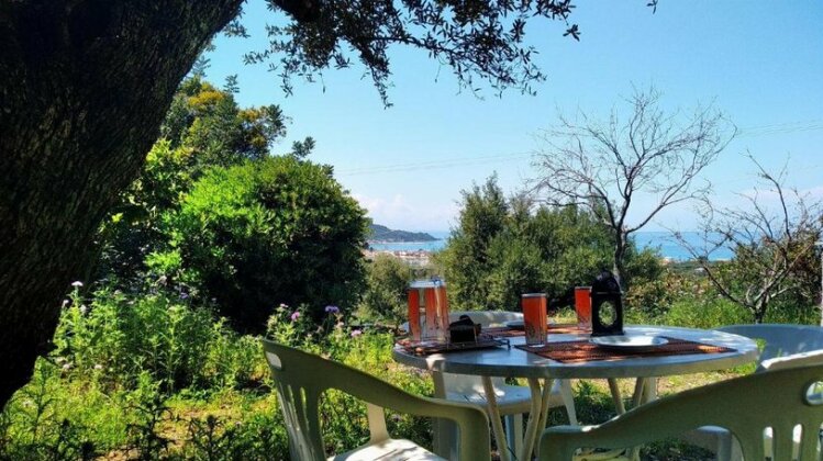 Green Hill House Zakynthos - Photo5