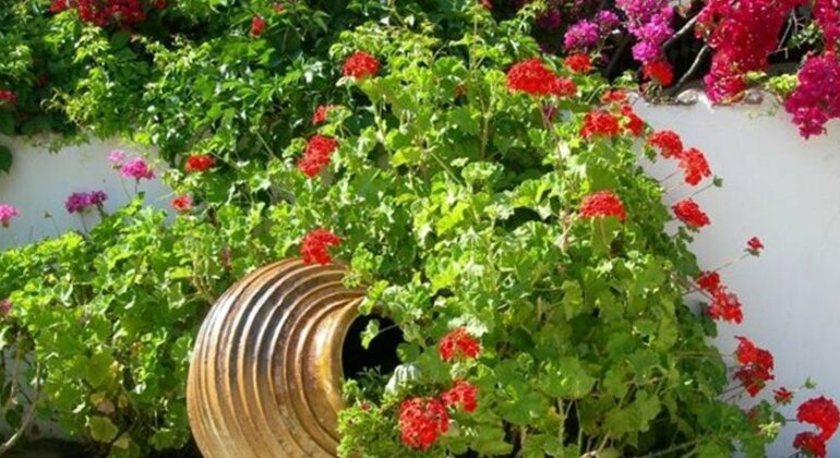 Irini Studios Zakynthos - Photo4