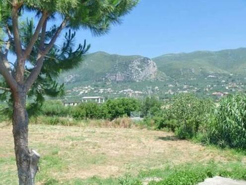 Irini Studios Zakynthos - Photo5