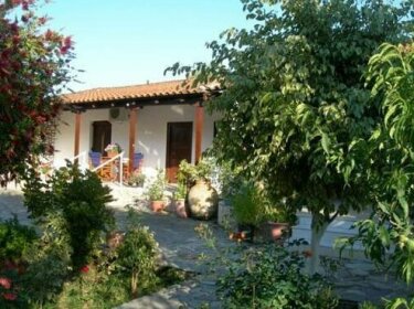 Irini Studios Zakynthos