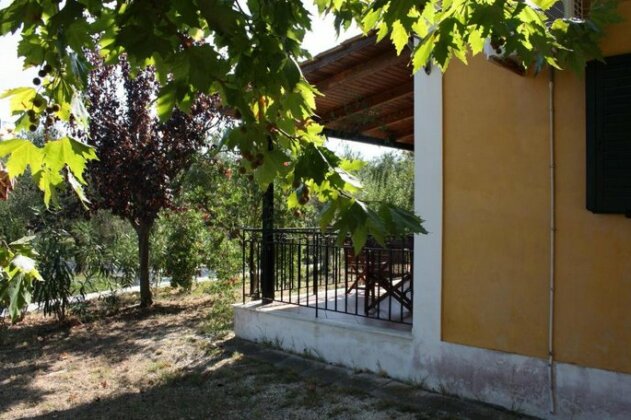 Nemorosa Apartments - Photo2