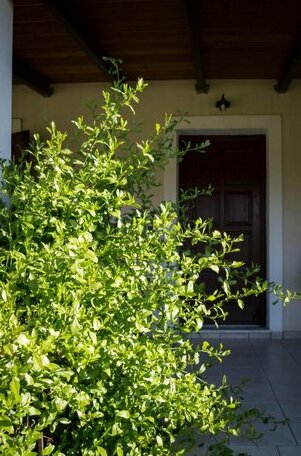 Olive Grove Zakynthos - Photo2