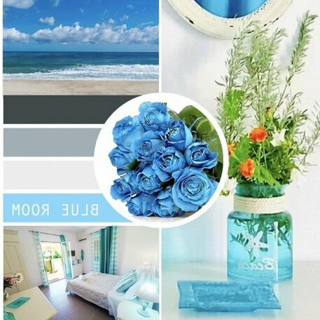 PRETTY SPITI Holiday Rooms - Photo3
