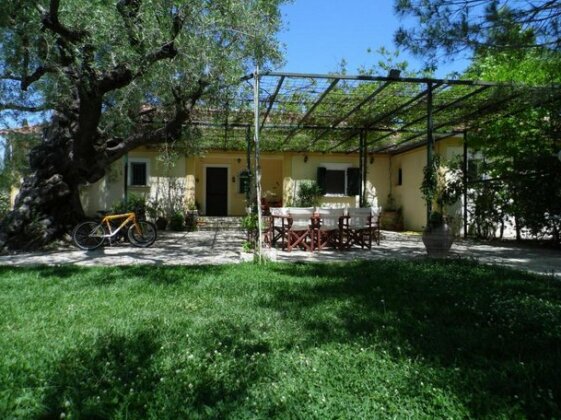 TheNi Olive Grove Villa - Photo2