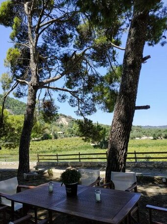 Villa Conifera - Photo2