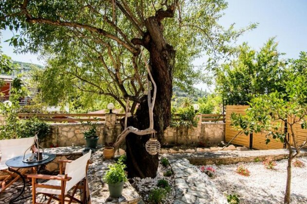 Villa Dimitra Zakynthos - Photo4