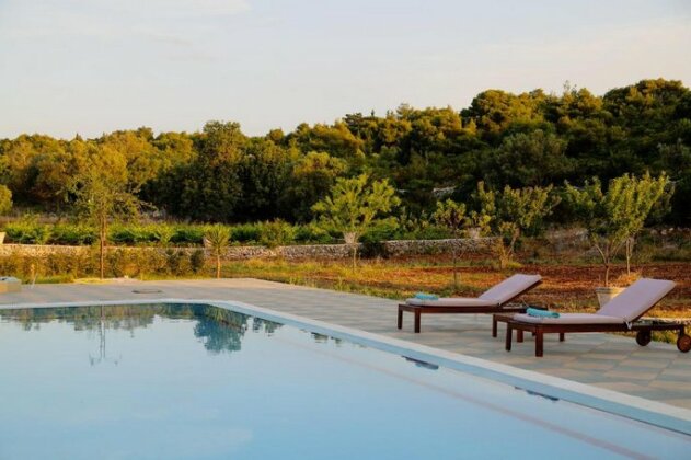 Wild Fig Retreat - Photo5