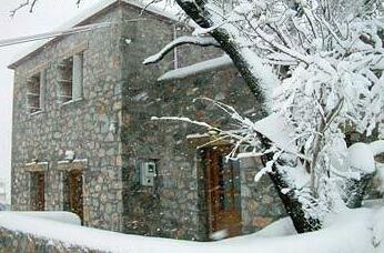 Apirathes - Photo4