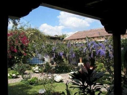 Hostal San Nicolas - Photo2
