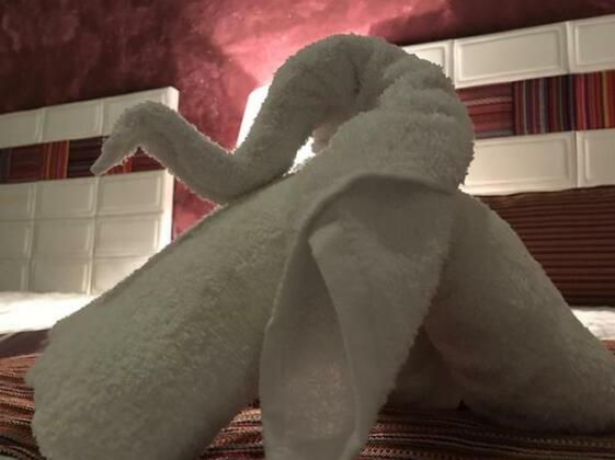 Hostal del Angel Coban - Photo5