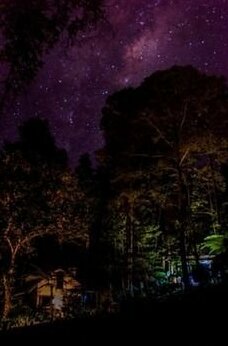 Luis Francisco CabaA+-as Orquigonia - Photo3