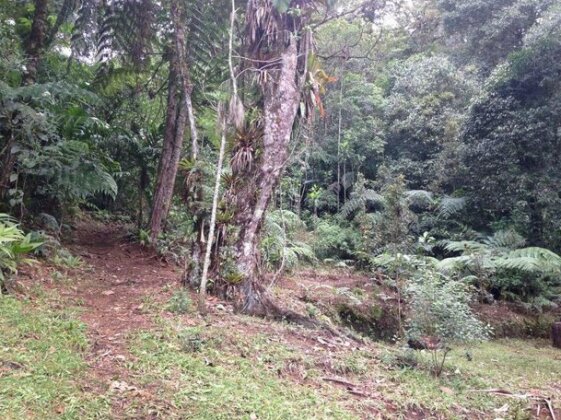 Ranchitos Del Quetzal - Photo3