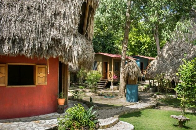 Alice Guesthouse Flores - Photo2