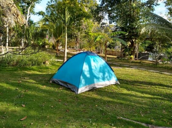 Alice Guesthouse Flores - Photo3
