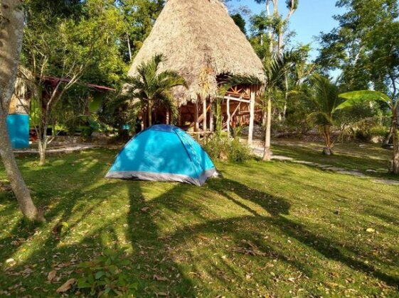 Alice Guesthouse Flores - Photo4