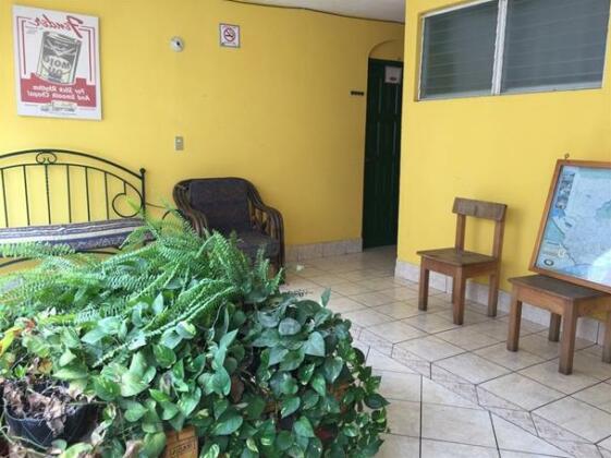 Green Monkey Hostel - Photo2