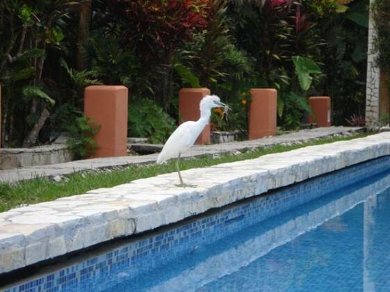 Hotel Tikal Inn - Photo5