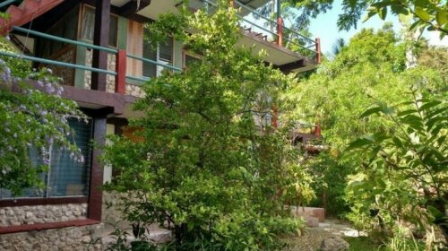 Zapote Tree Inn