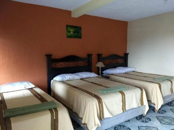 Casa Elefante Dormido - Photo3