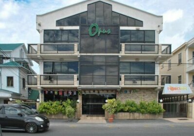 The Opus
