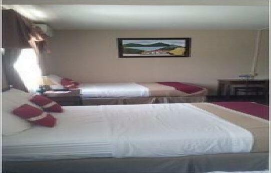 La Bellota Hotel - Photo3