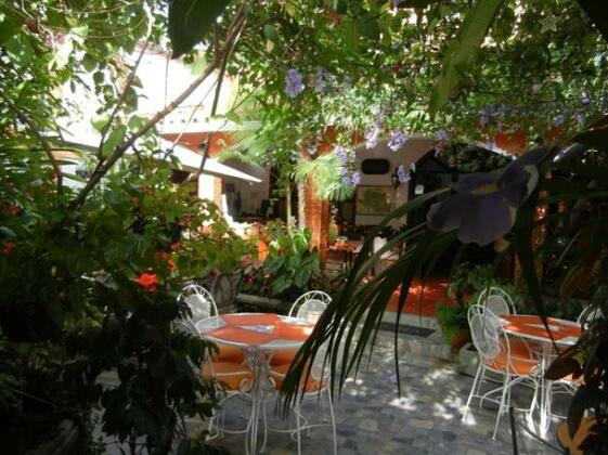 Casa Gabriela - Photo5