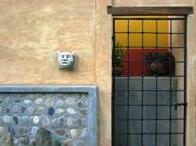 Casa Jaguar - Photo4