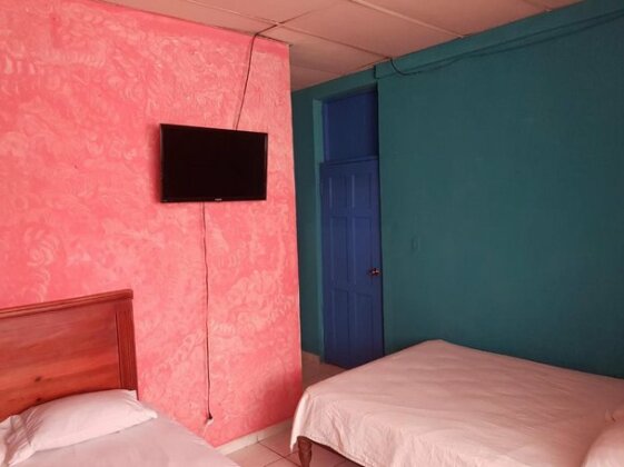 Hostel Guacamayos - Photo4