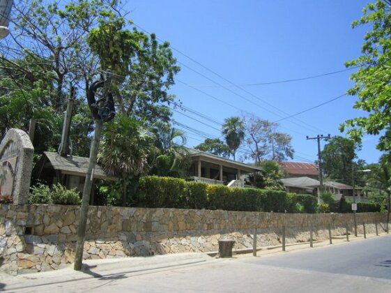 Coconut Tree West End - Photo2