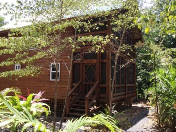 Phoenix House Roatan