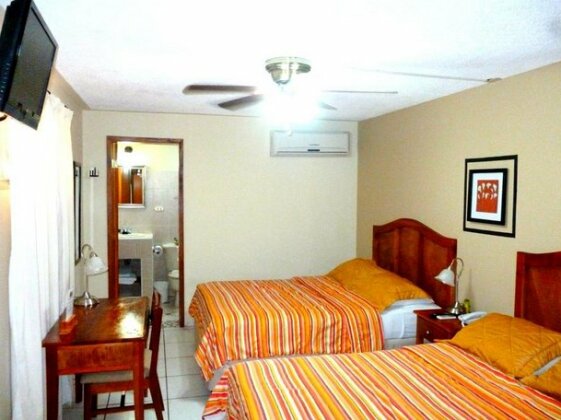 Hostal Green Frog - Photo4
