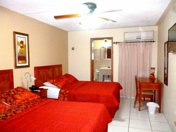Hostal Green Frog - Photo5