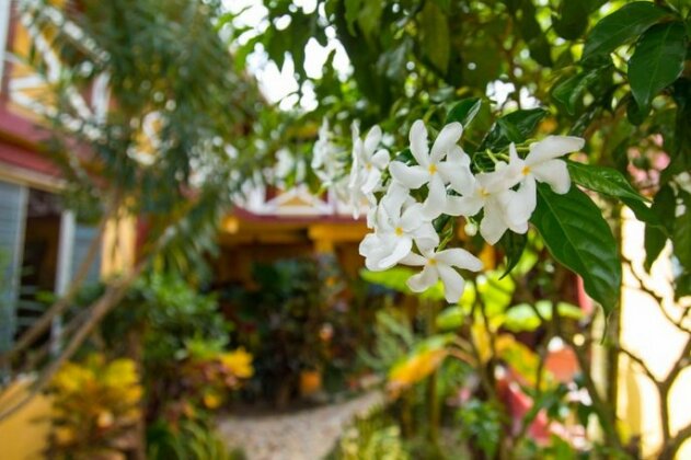 Hotel BAHIA Tela - Photo2