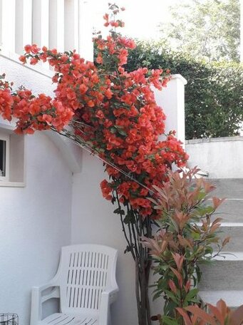 Apartman Hibiskus - Photo5