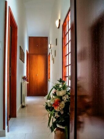 Apartments & Rooms Antonijela - Photo4