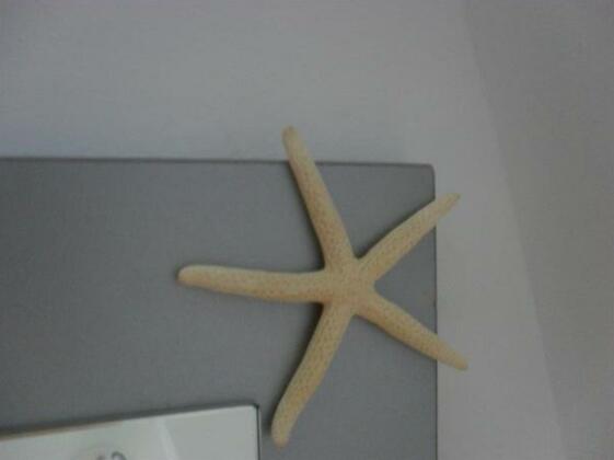 Holiday Home Venato - Photo3