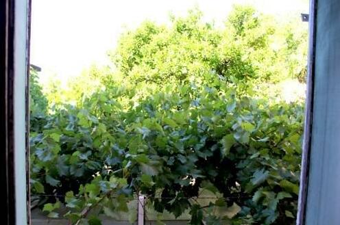 Holiday Home Felix Cavtat - Photo2