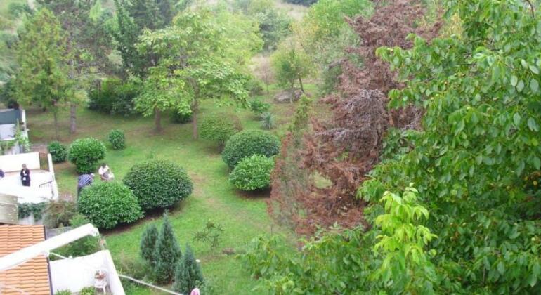 Apartment Cervar 1 - Photo2