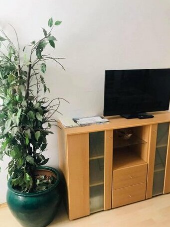 Apartman Negovetic - Photo4