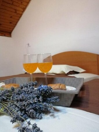 Apartment Ivo Cres - Photo2